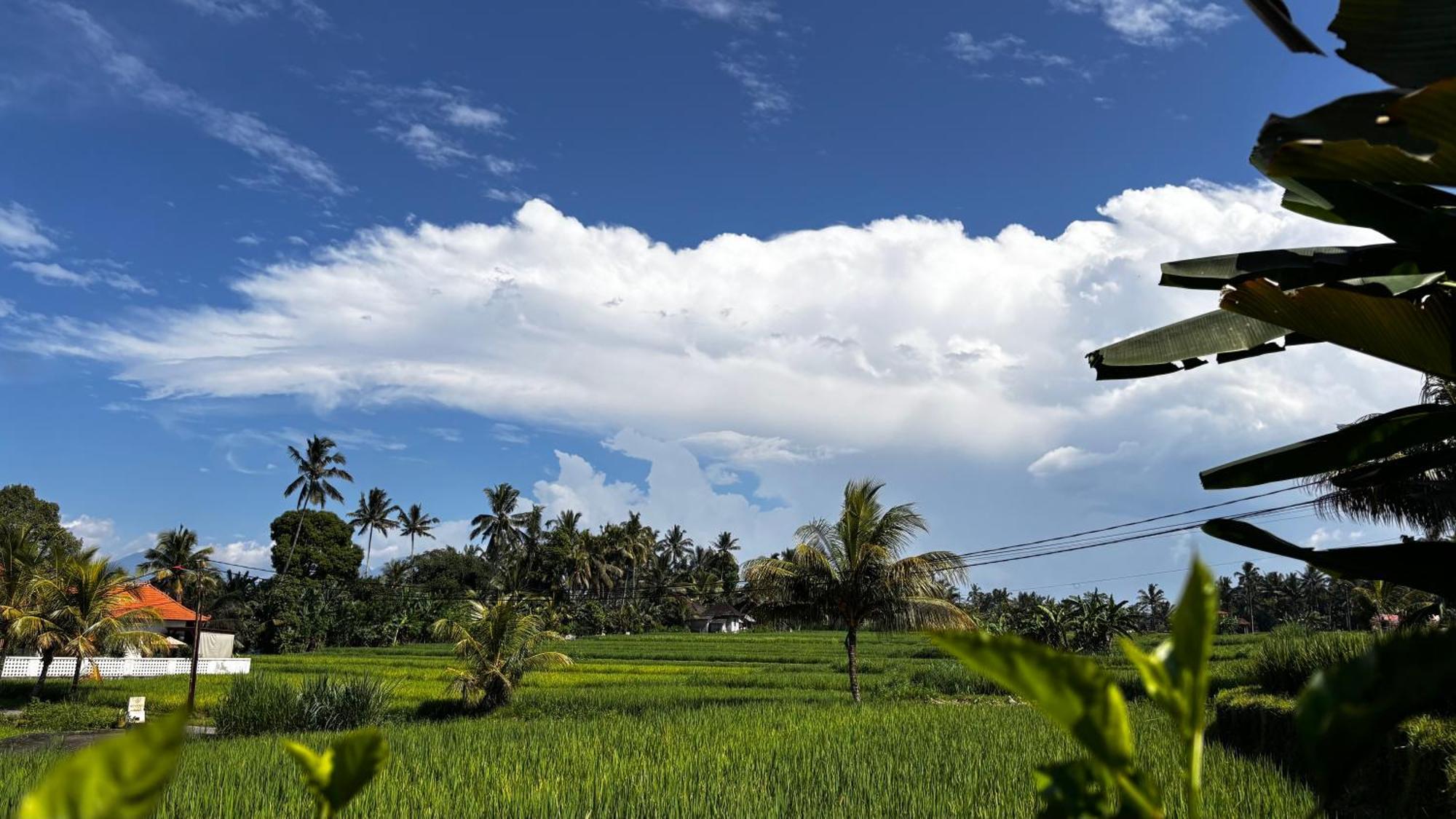 Villa Neyang Ubud Exterior foto